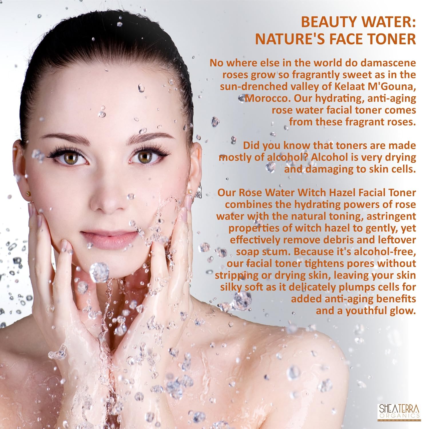 Shea Terra Organics Beauty Water, Toner & Face Mist – Damask Rose Hips & Hazel | Natural Daily Hydrating Toner with Anti-Aging Rose & Witch Hazel to Soothe & Cleanse Inflamed Skin & Fight Acne – 4 oz : Body Scrubs : Beauty