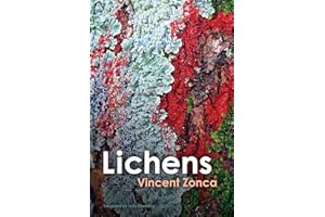 Lichens: Toward a Minimal Resistance