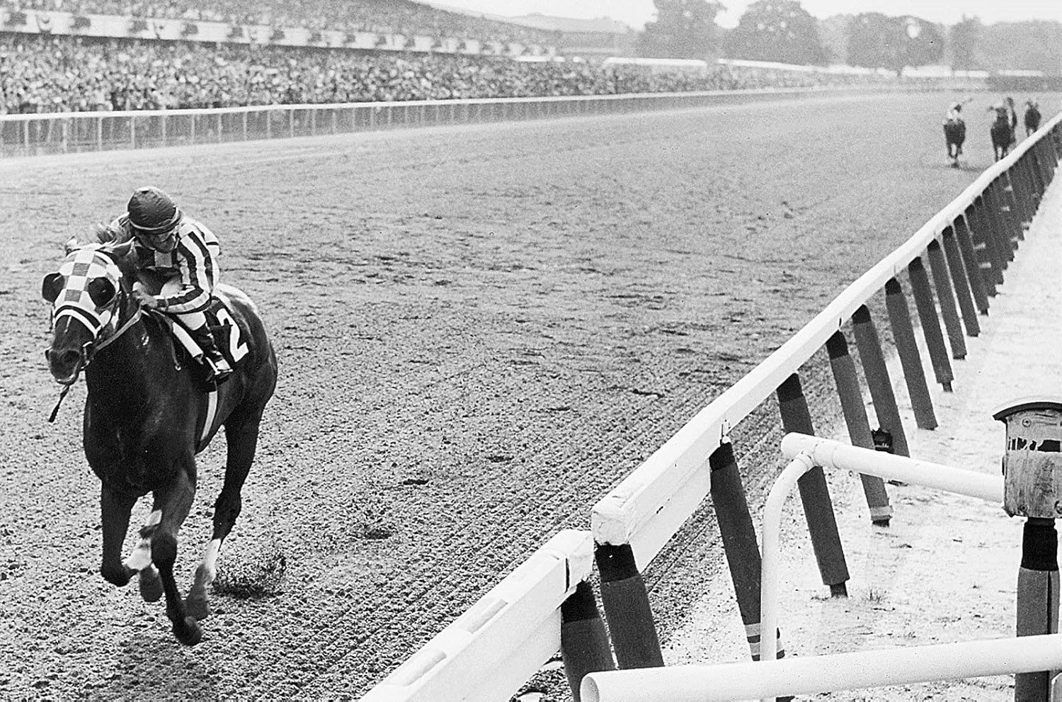 Photographs - Secretariat Wins At Belmont Photo Wall Art Horse Racing Photos Artwork 8x12