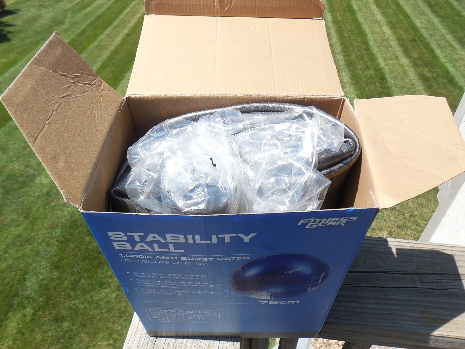 fitness gear weighted stability ball