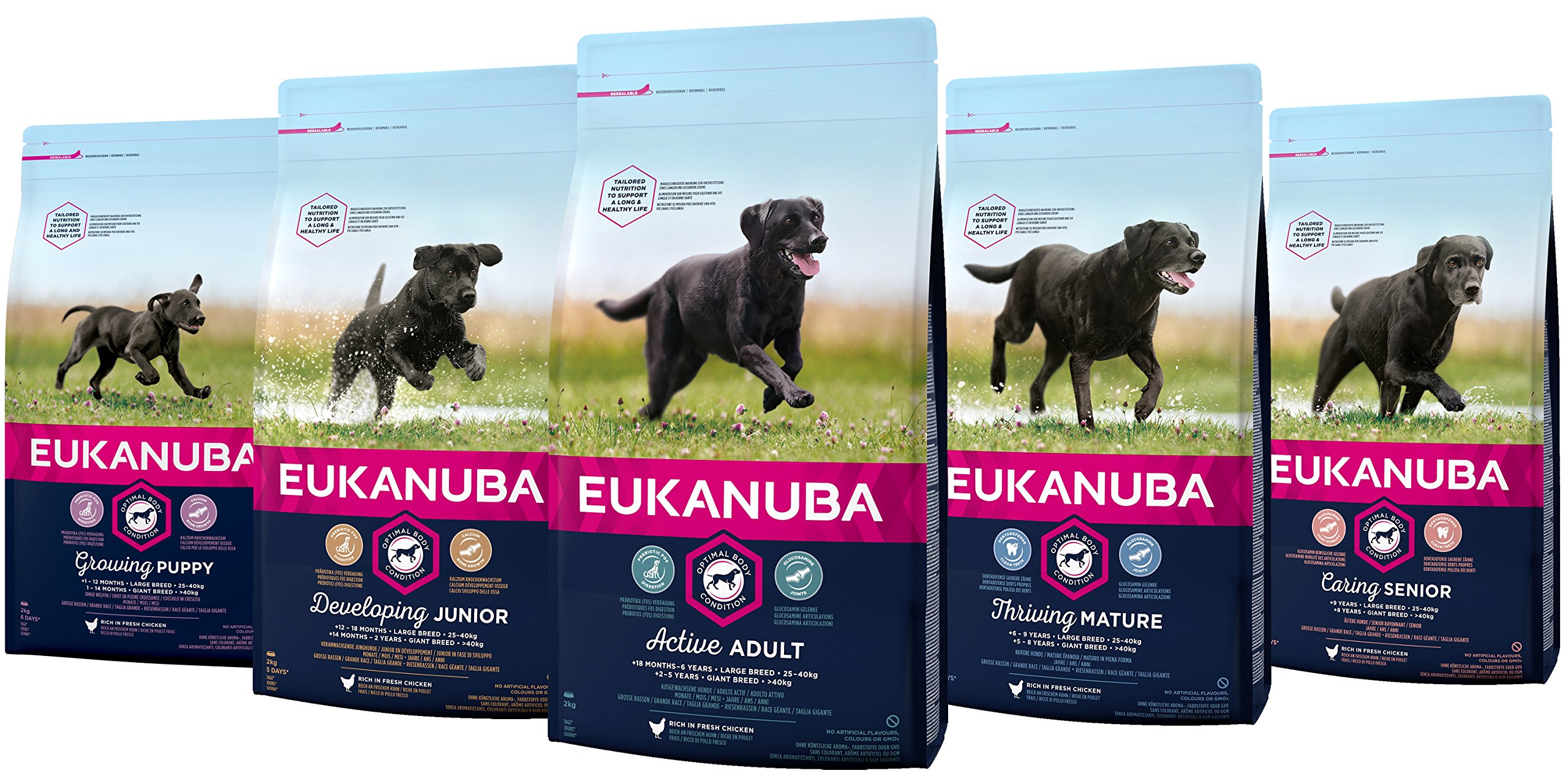 eukanuba giant breed