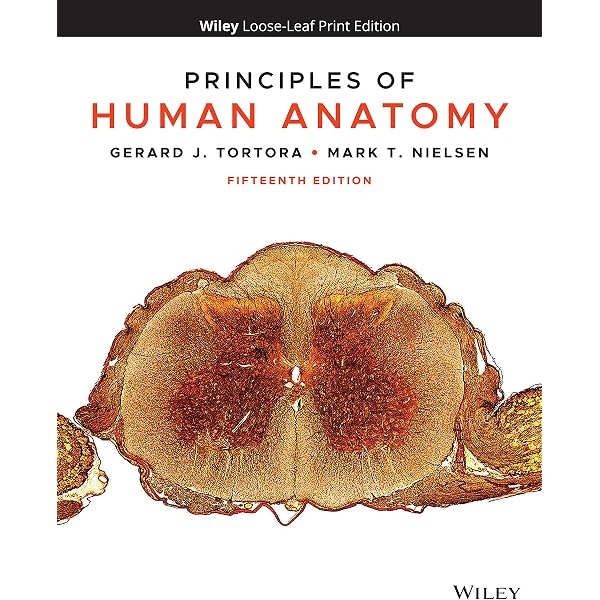 Amazon.com: Principles of Anatomy and Physiology, 12th Edition