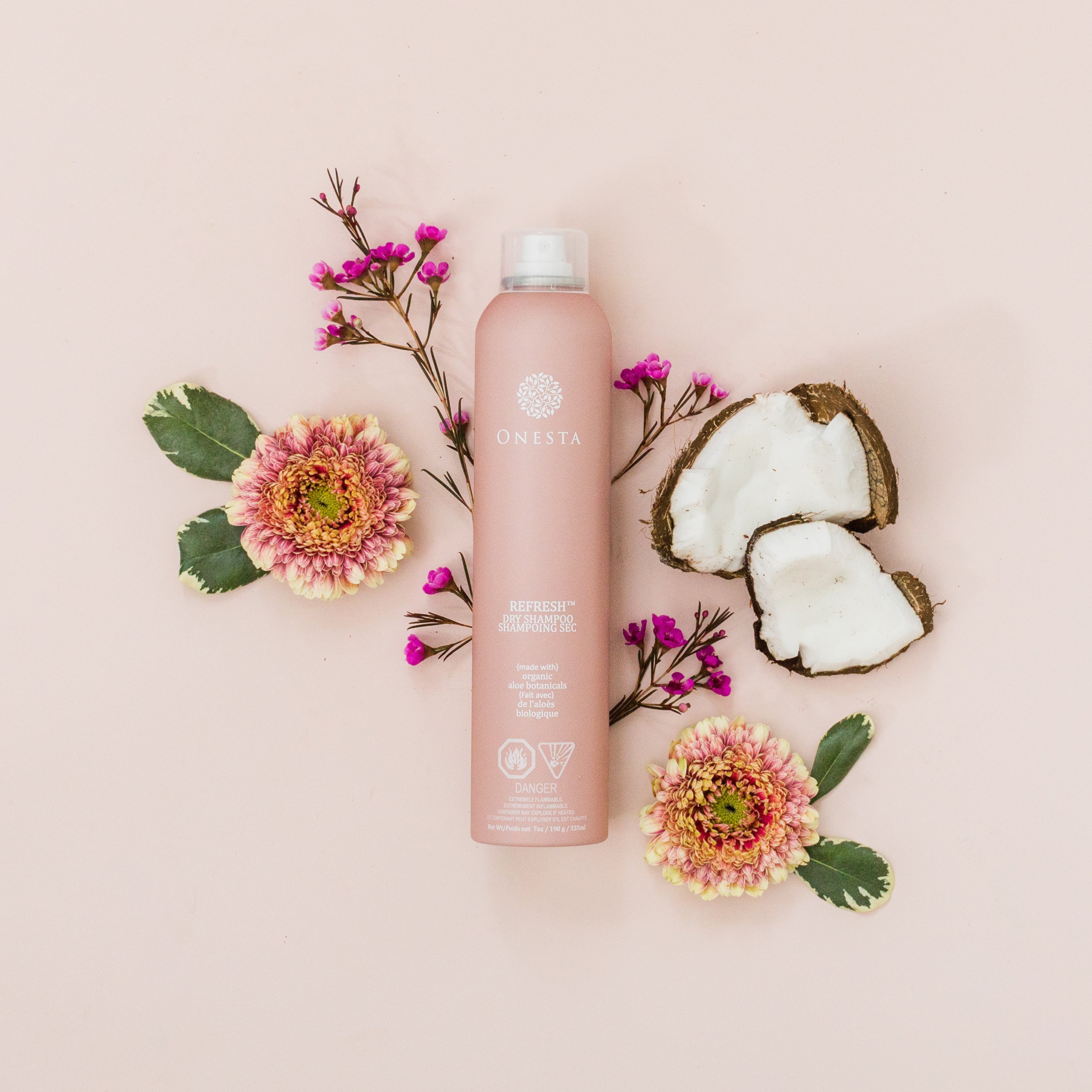 Onesta Hair Care Refresh Dry Shampoo Hair Spray 7 Oz My