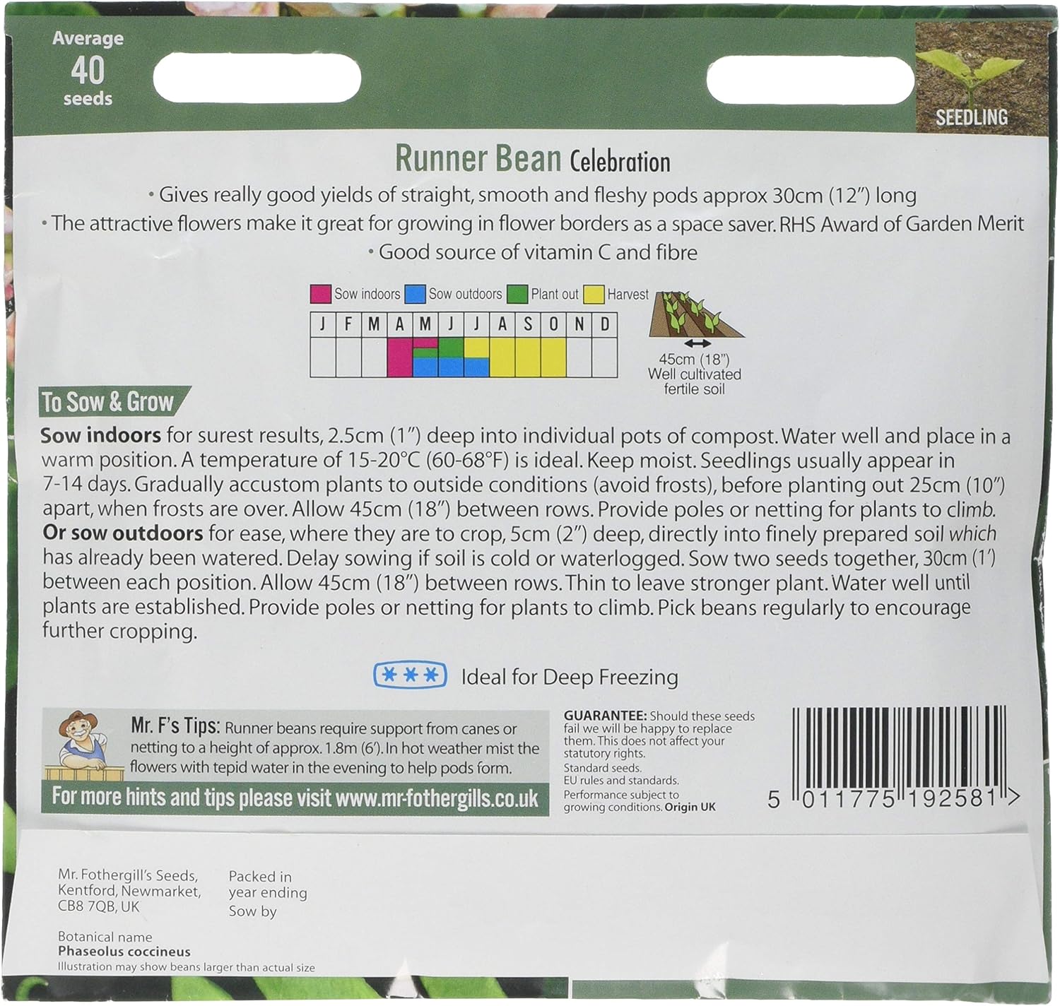 Mr Fothergill's 12372 Vegetable Seeds, Runner Bean Celebration, Green - Image 3
