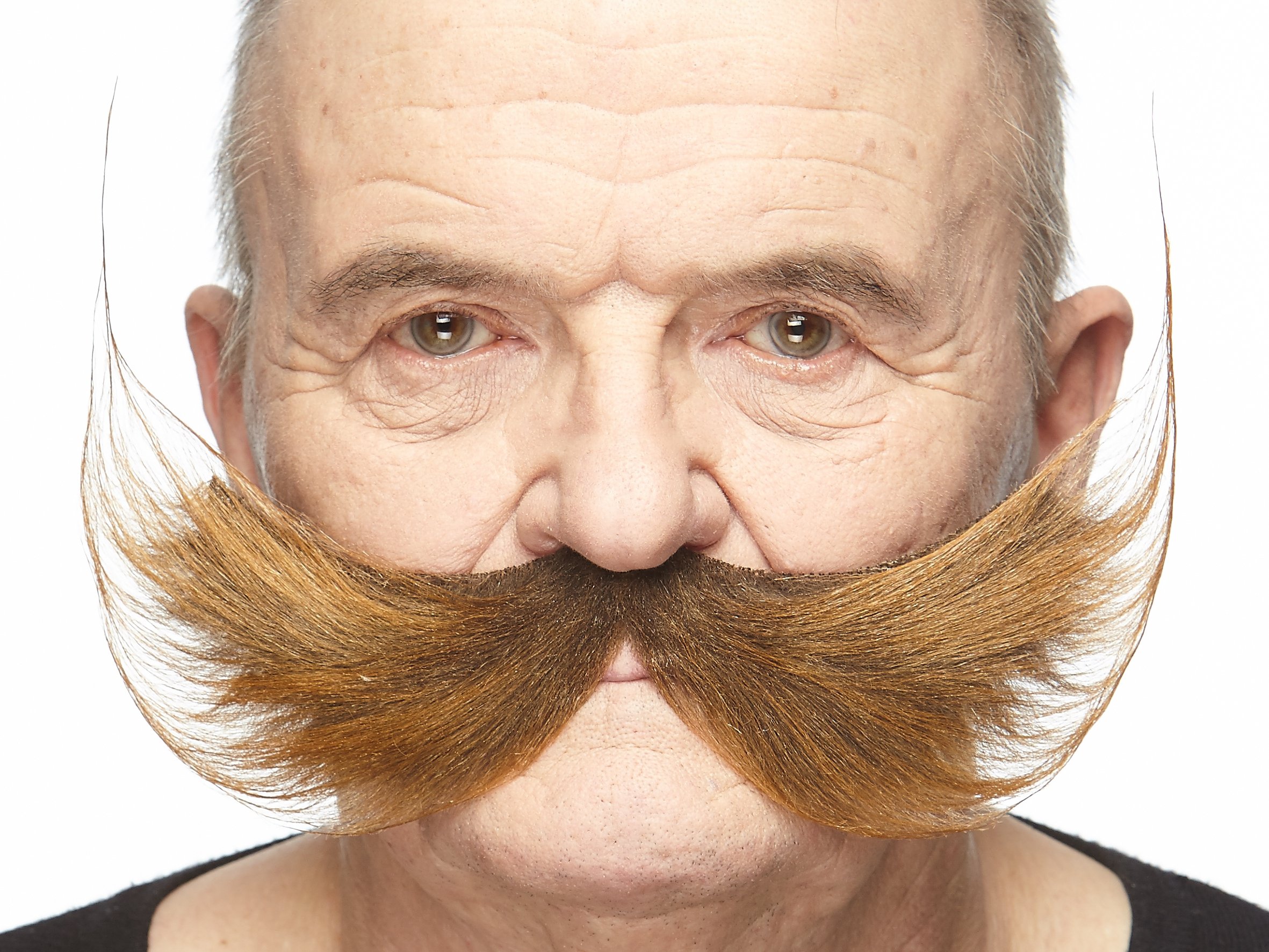 Mustaches Fake Mustache, Self Adhesive, Novelty, Fisherman's False Facial Hair, Brown Color, by Mustachess