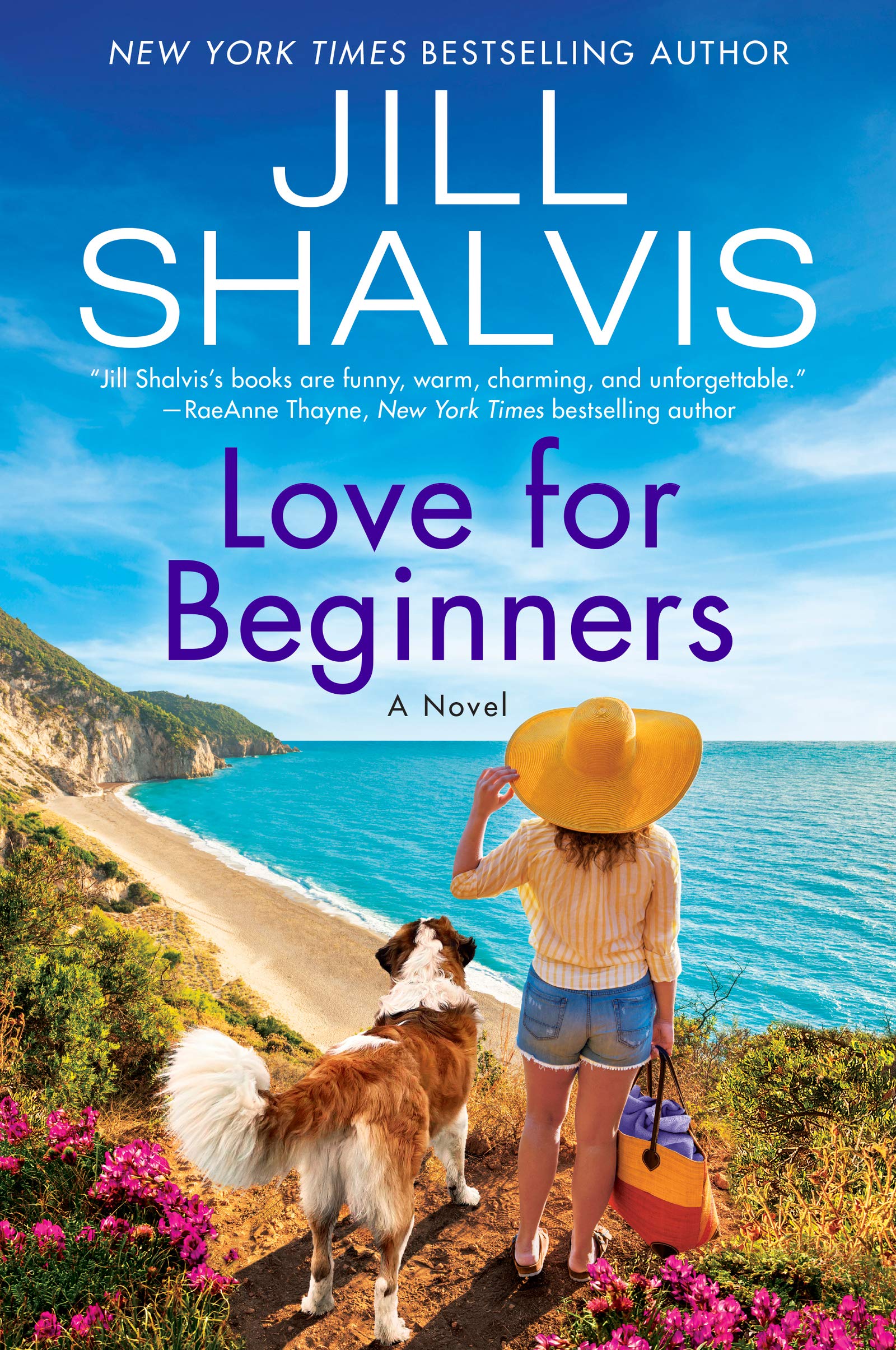 Love for Beginners: A Novel