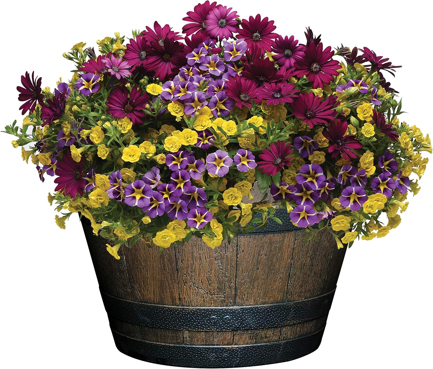 Classic Home and Garden S1027D-037Rnew Whiskey Barrel Planter, 20.5", Kentucky Walnut : Garden & Outdoor