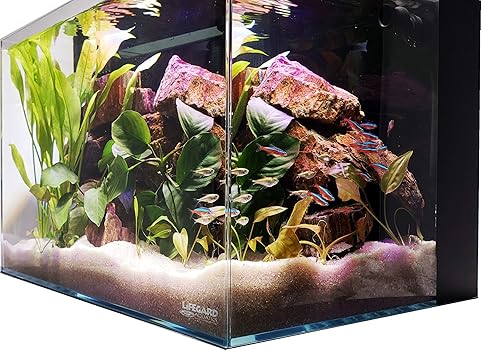 Lifegard Aquatics Crystal 24-Gallon Nano Aquarium
