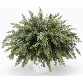 16 Pcs Artificial Lifelike Touch Christmas Cedar Branches for Vase Decor | 18Inches Tall,Realistic Cedar Greenery Picks,Fake Plant Stems,Pine Picks for Vase DIY Crafts Garland Wreath Indoor Home Decor