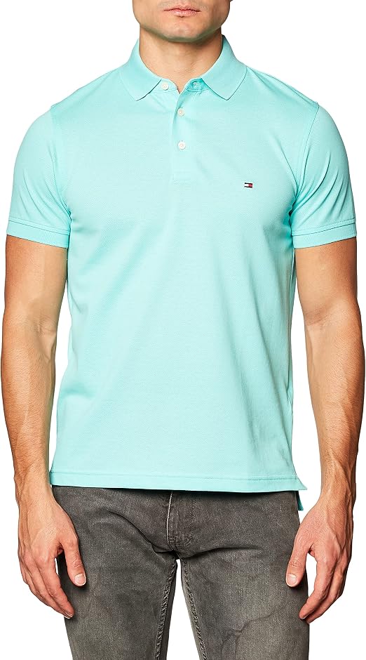 tommy hilfiger mens polo sale