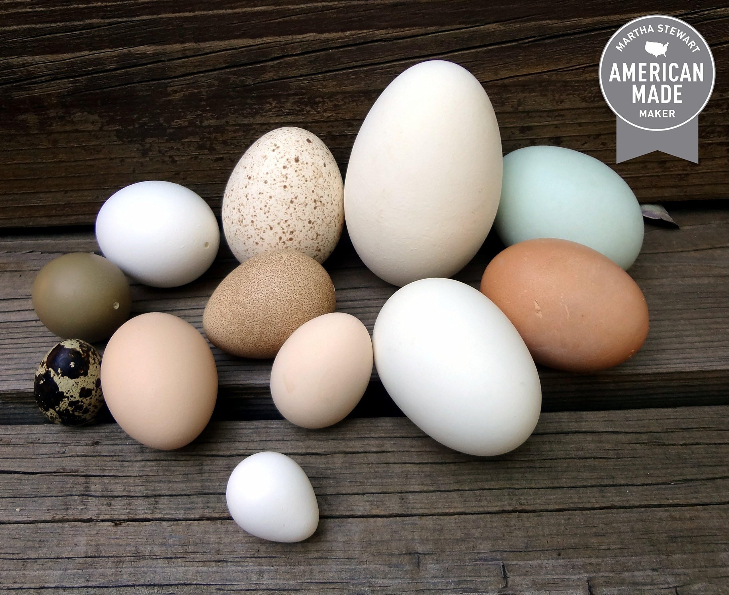 One Dozen Clean, Organic Eggshells. Part of the Martha Stewart American Made Market