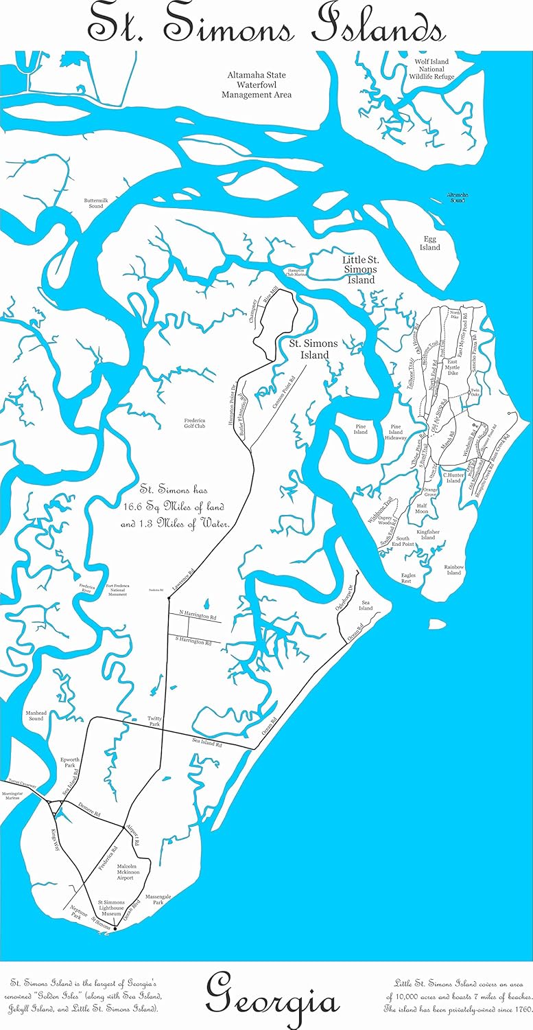 St Simons Island Map Map Of The World