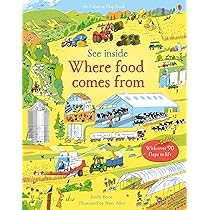 英語絵本 Usborne see inside (Big size) 4セット 英語絵本 Usborne See Inside 4セット Big Size!!!