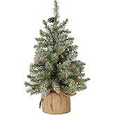 National Tree Company 2ft Pre-Lit Flocked Mini Artificial Christmas Tree | 50 Warm White LED Lights, 75 Tips, Pinecones, Burlap Base, Timer, Green