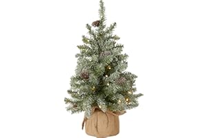 National Tree Company 2 ft Pre-Lit Flocked Mini Artificial Christmas Tree, 50 Clear LED Lights, 75 Tips, Pinecones, Burlap Base, Timer, Green