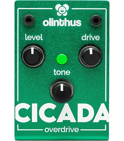 Amazon.com: Olinthus Olinthus Cicada Overdrive – World's Smallest