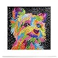 FURDOHAI 5d Diamond Art for Kids Suitable for Ages 6-12 Diamond Art and Crafts Creative Gift (B-Dog)