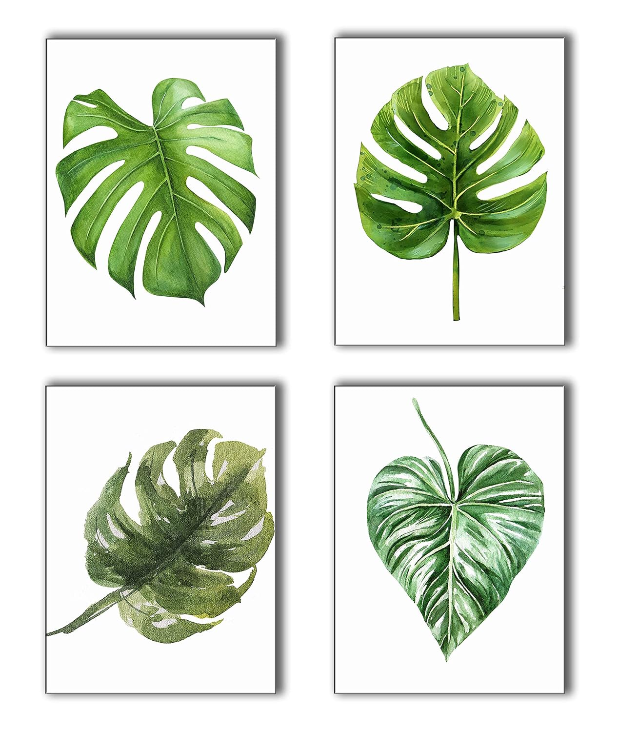 Which Is The Best Monstera Home Decor
