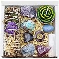 DANCING BEAR Healing Crystals (11 pc) Gift Set for Calm & Peace of Mind, Amazonite, Celestite, Angelite, California Sage, Butterfly Tattoo & Amethyst Crown Chakra Stone, Selenite, Anxiety Relief, Made in the USA