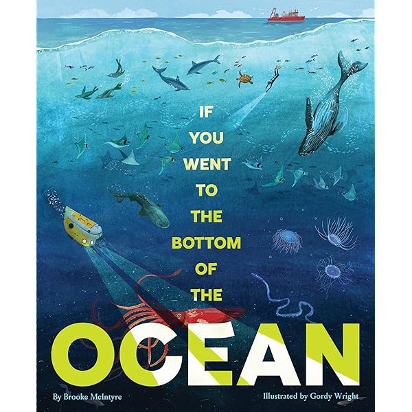 Amazon.com: An Ocean Between Us: Roman: 9783426526149: Bilinszki