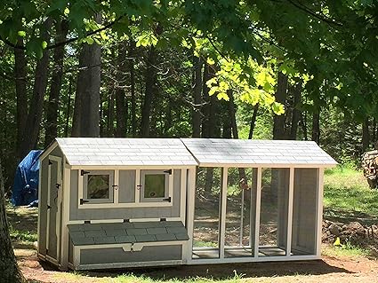 Amazoncom Salt Box Coop And Run Combination Garden Outdoor