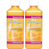 Brilliance for Spas Foam Disperser - 1 pt - 2 Pack
