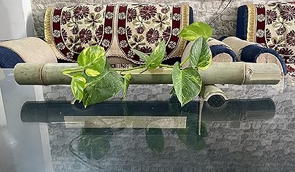 SPRAWA Hand-Made Table Bamboo Planter for Home, Balcony, Office, Garden (Set of 2, Height 20 Inch-28 Inch)