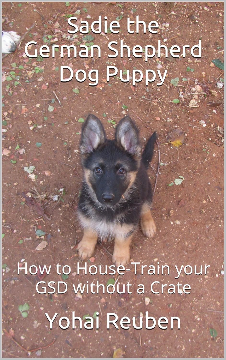 house training a puppy without a crate