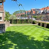 MOOWY Spring & Summer Lawn Feed 50 m² - Fast Growth, Greener Grass view 4