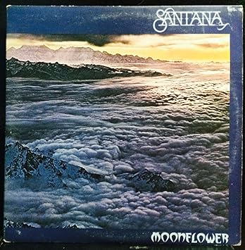 Image result for santana moonflower