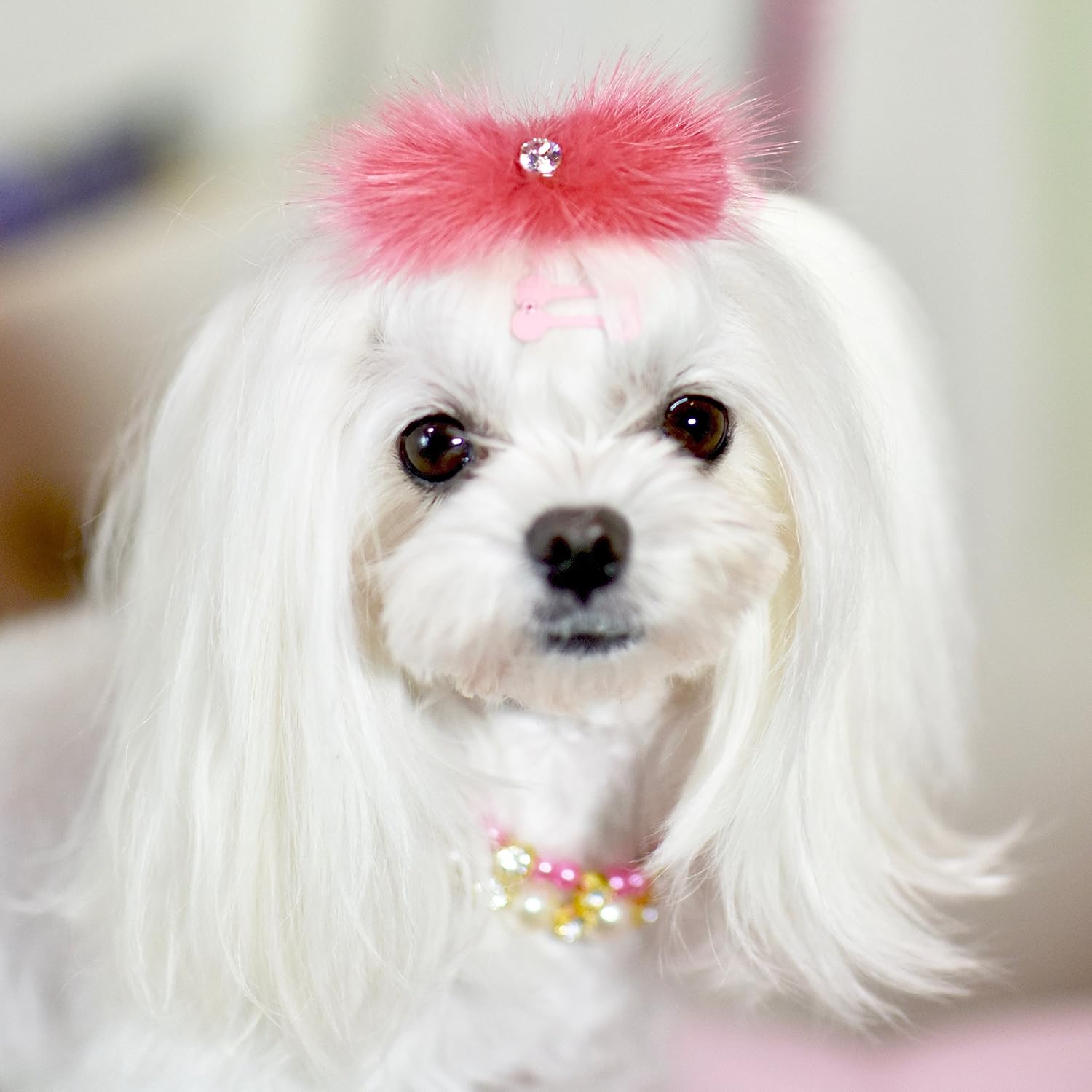 Amazon Com Hot Pinky Coral Mink And Crystal Fur Hair Clip For