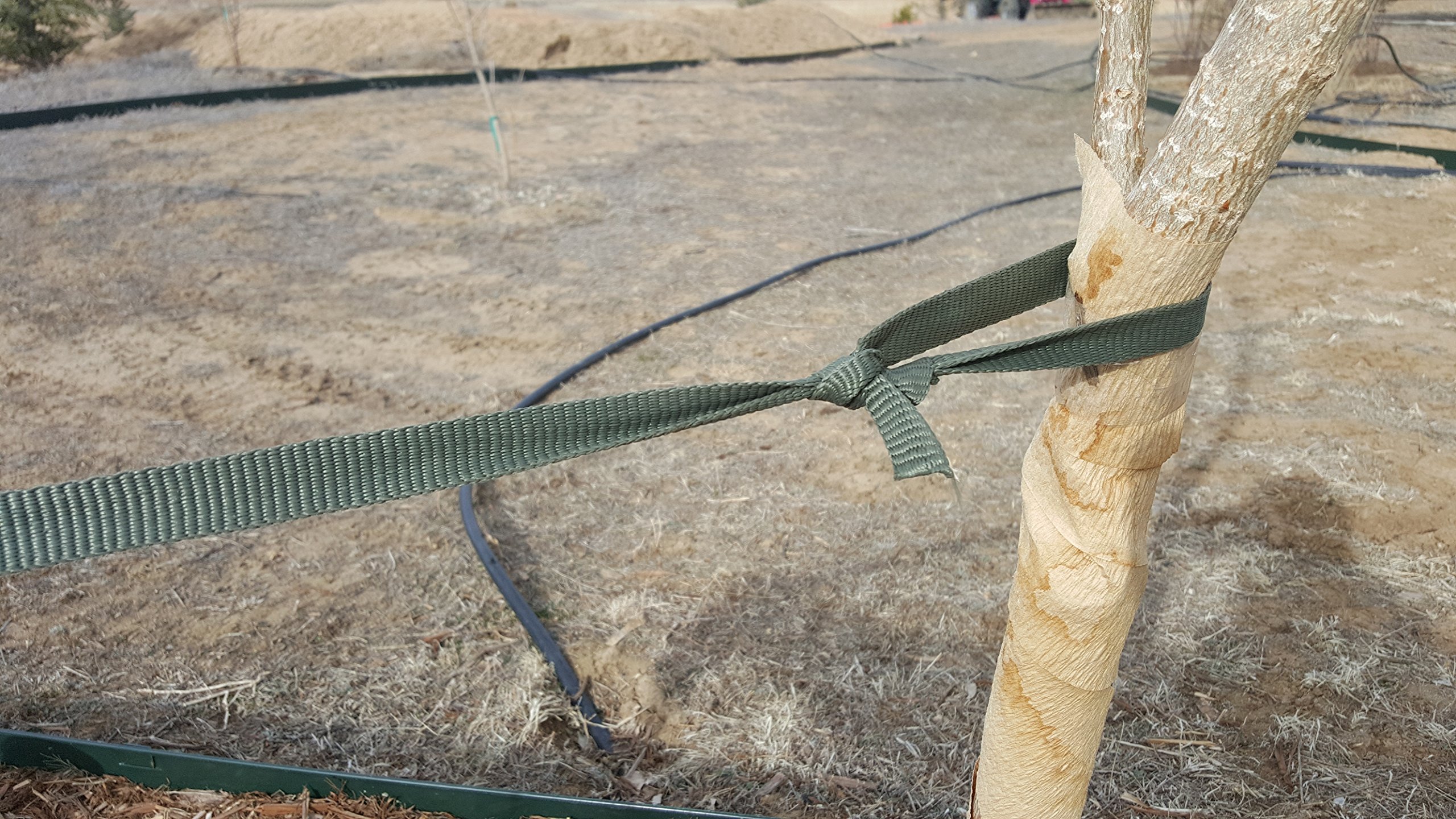 HORTtie Tree Tie Staking Guying Material, 40 feet