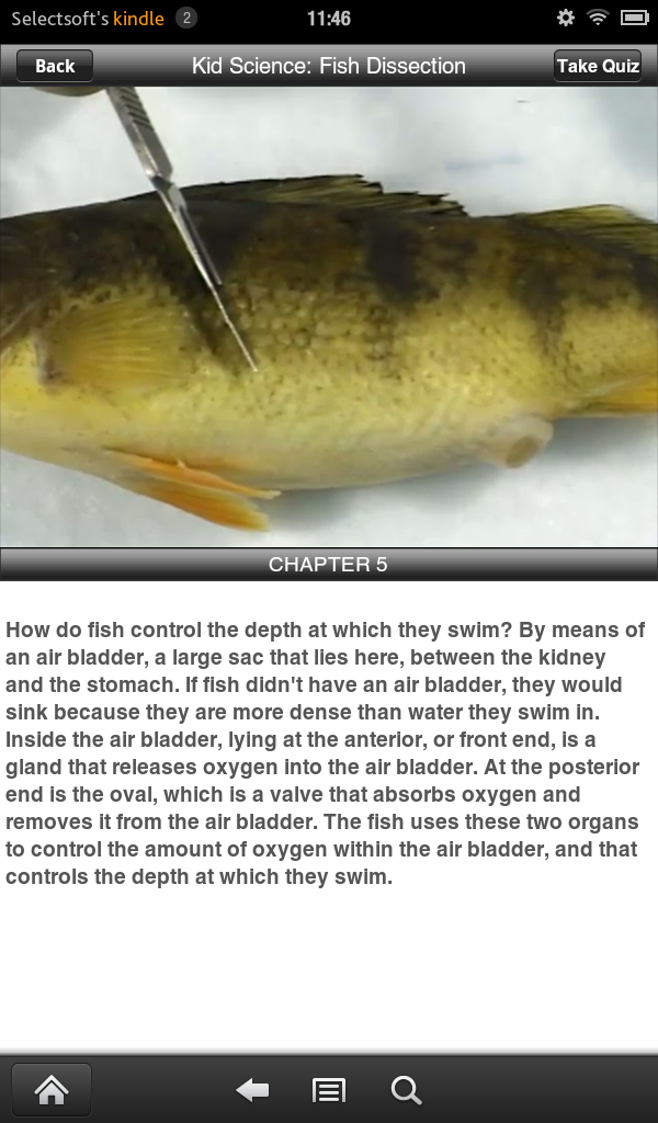Fish for Android