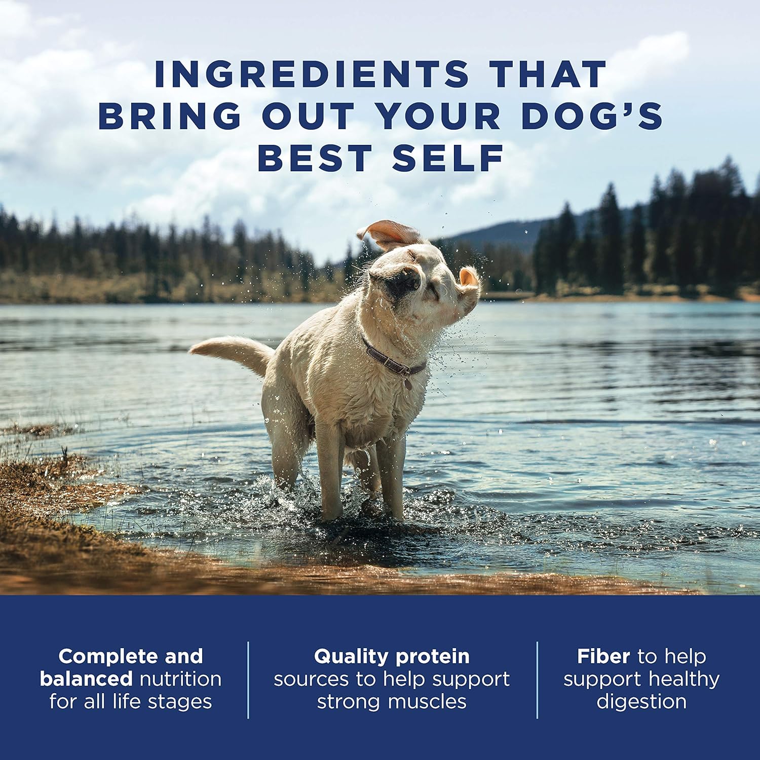 natural balance original ultra dog food