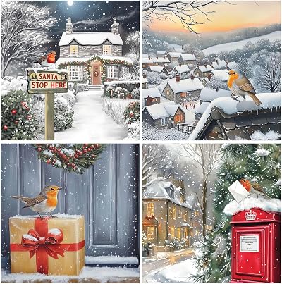 Absolutely Yours Charity Christmas Cards 24 Pack 4 Robin Designs 150x150mm