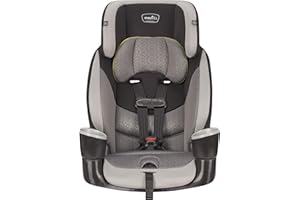Evenflo Maestro Sport Harness Booster Car Seat, Crestone Peaks
