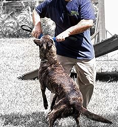Viper Synthetic K9 Tug Toy Reward with Two Handles