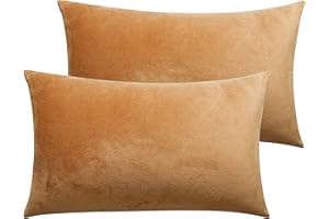 NTBAY 2 Pack Zippered Velvet Queen Pillowcases, Super Soft and Cozy Luxury Fuzzy Flannel Pillow Cases with Zipper, 20x30 Inches, Camel