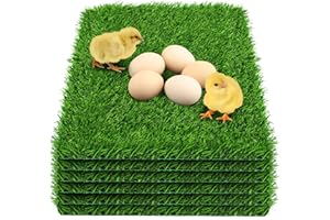 DenForste 6 Pack Chicken Nesting Box Pads - Washable Artificial Grass Nesting Pads - Chicken Nesting Pads for Chicken Coop and Pet Garden Lawn Indoor Outdoor 12"×12"×1"