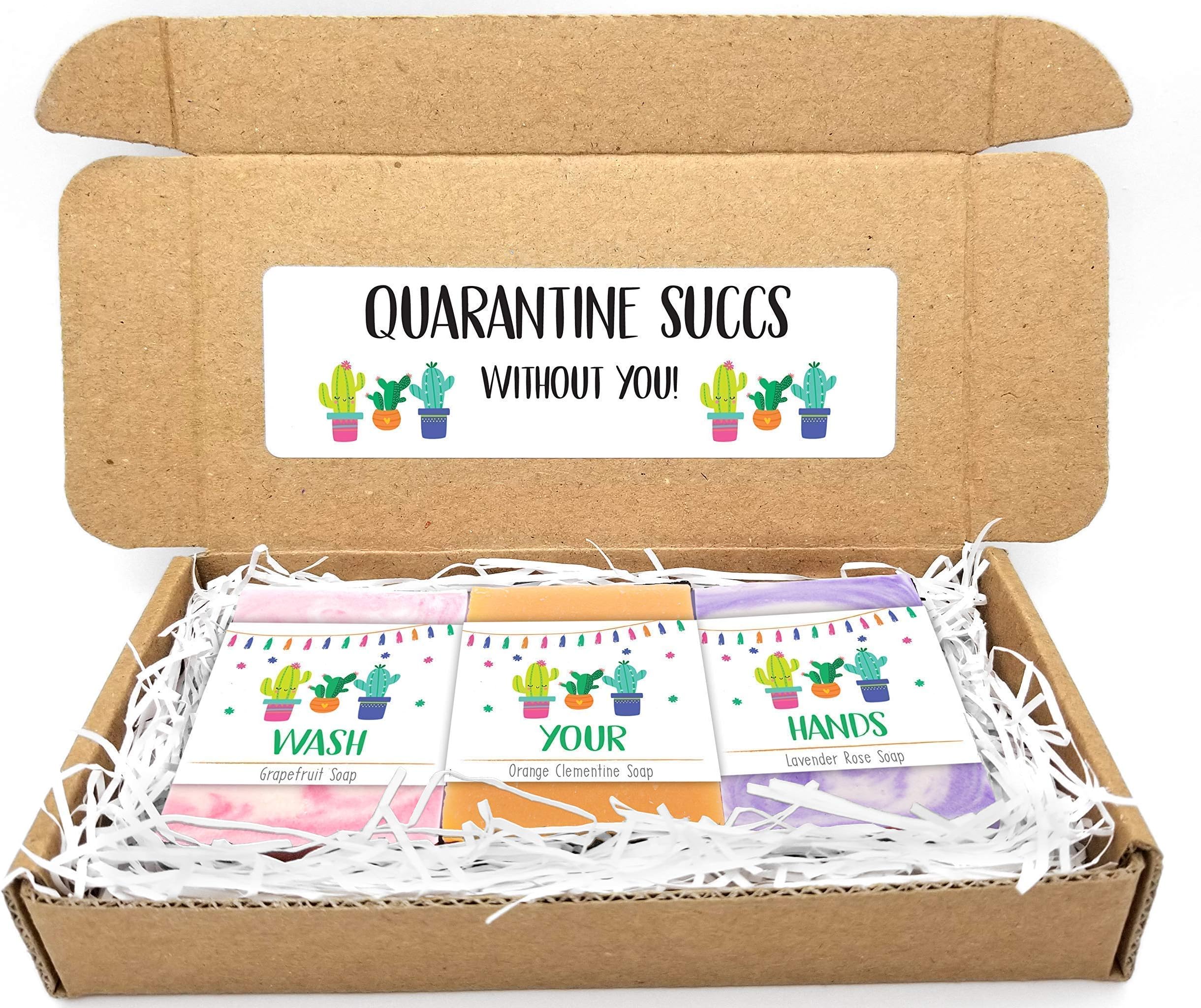 Quarantine Succs Soap Gift Set, Set of 6 Mini Soaps, Handmade, Vegan