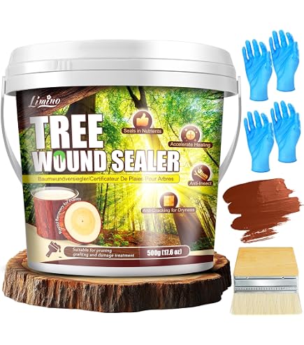 lac balsam tree wound dressing Tools & Home Improvement Style:Queen Stevie The Timeless Elegance of Featuring a brush top NONFOJ