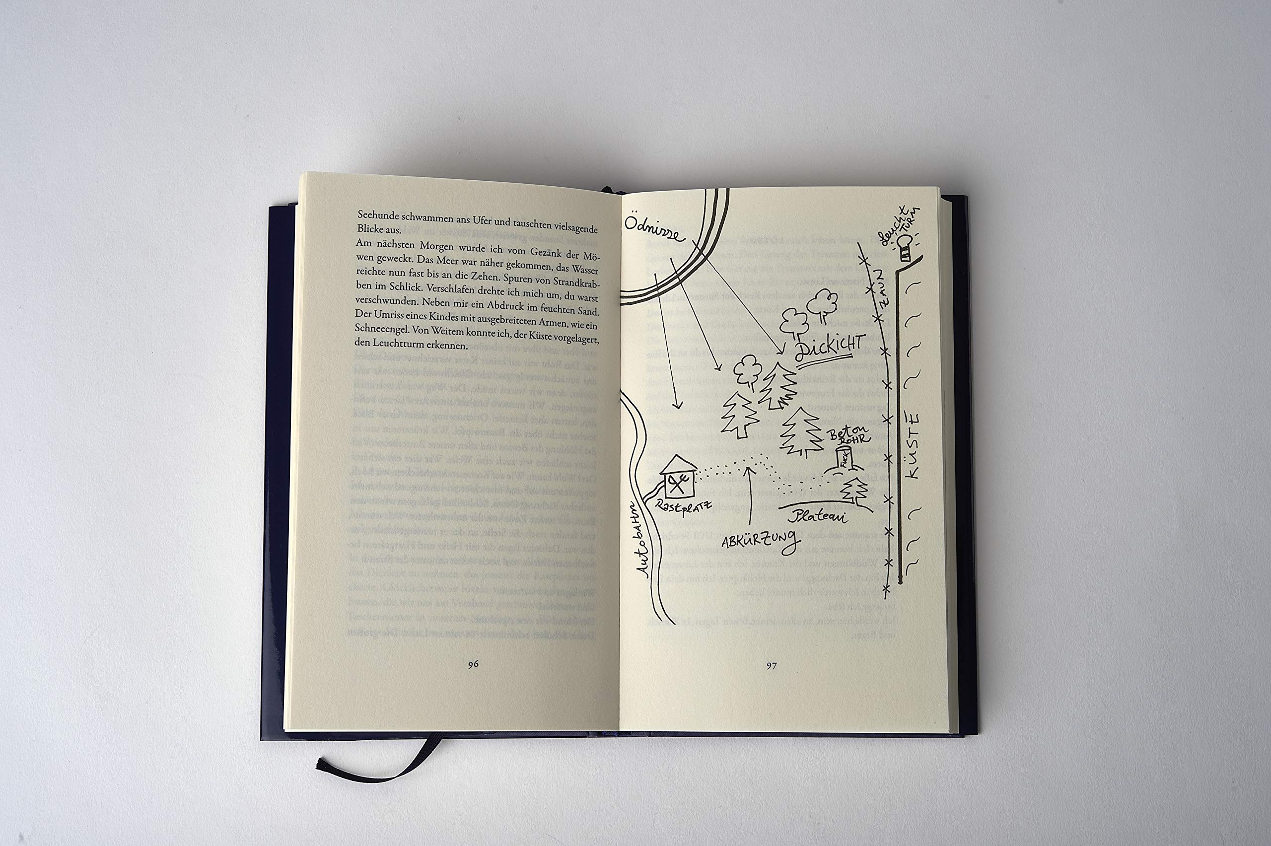 Aus Dem Dachsbau Amazon De Lowtzow Dirk Von Bucher