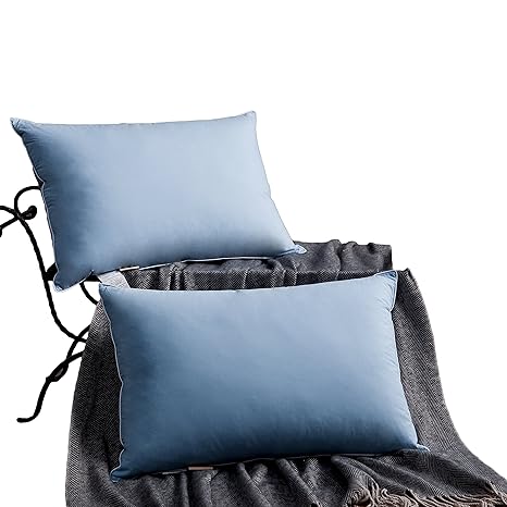 Amazon Com Snowman Luxury Goose Down Pillow Sleeping Set Of 2