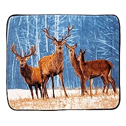 Northwest Cold Snap Oversized Raschel Throw