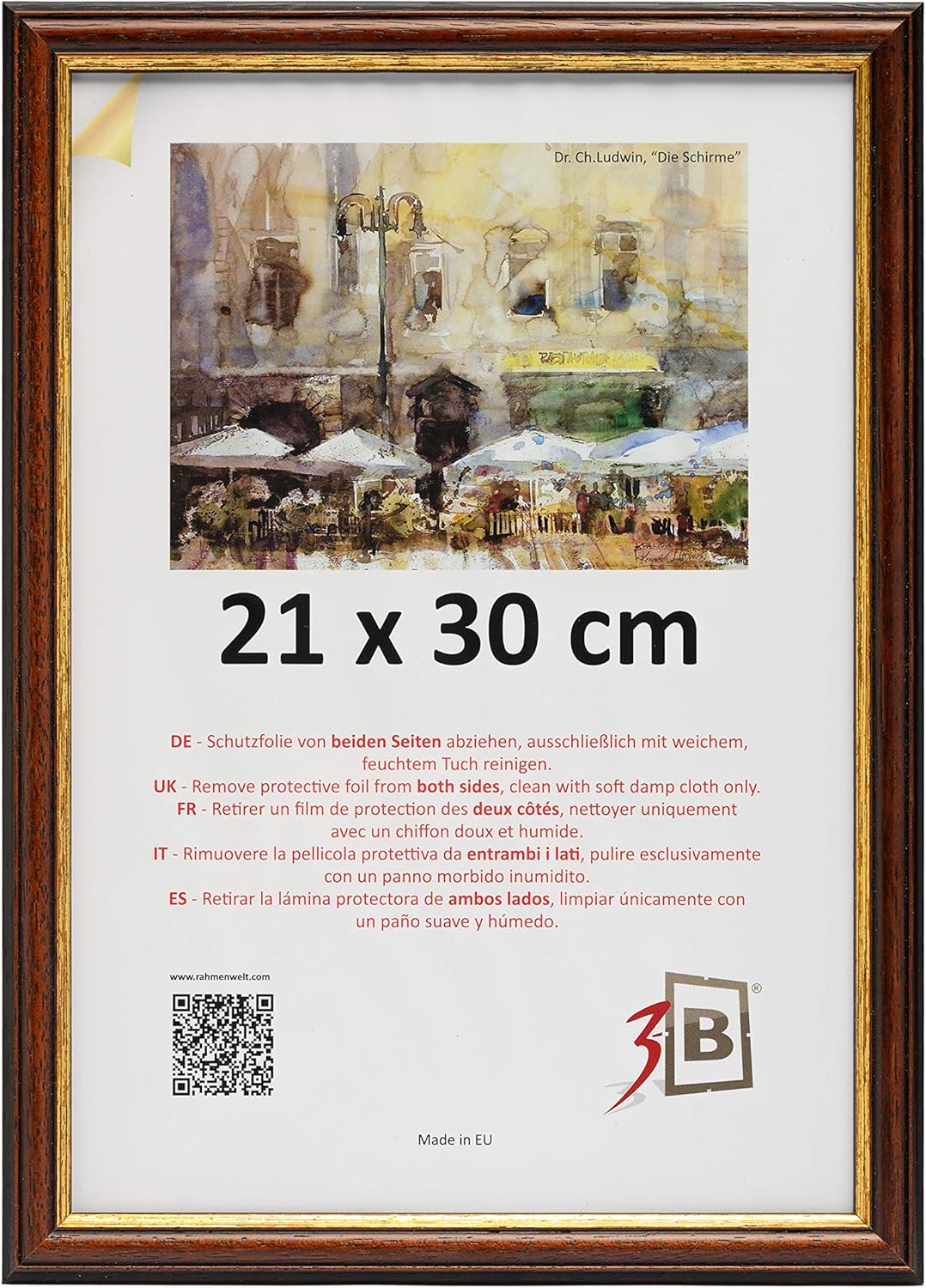 cornice per il certificato di laurea