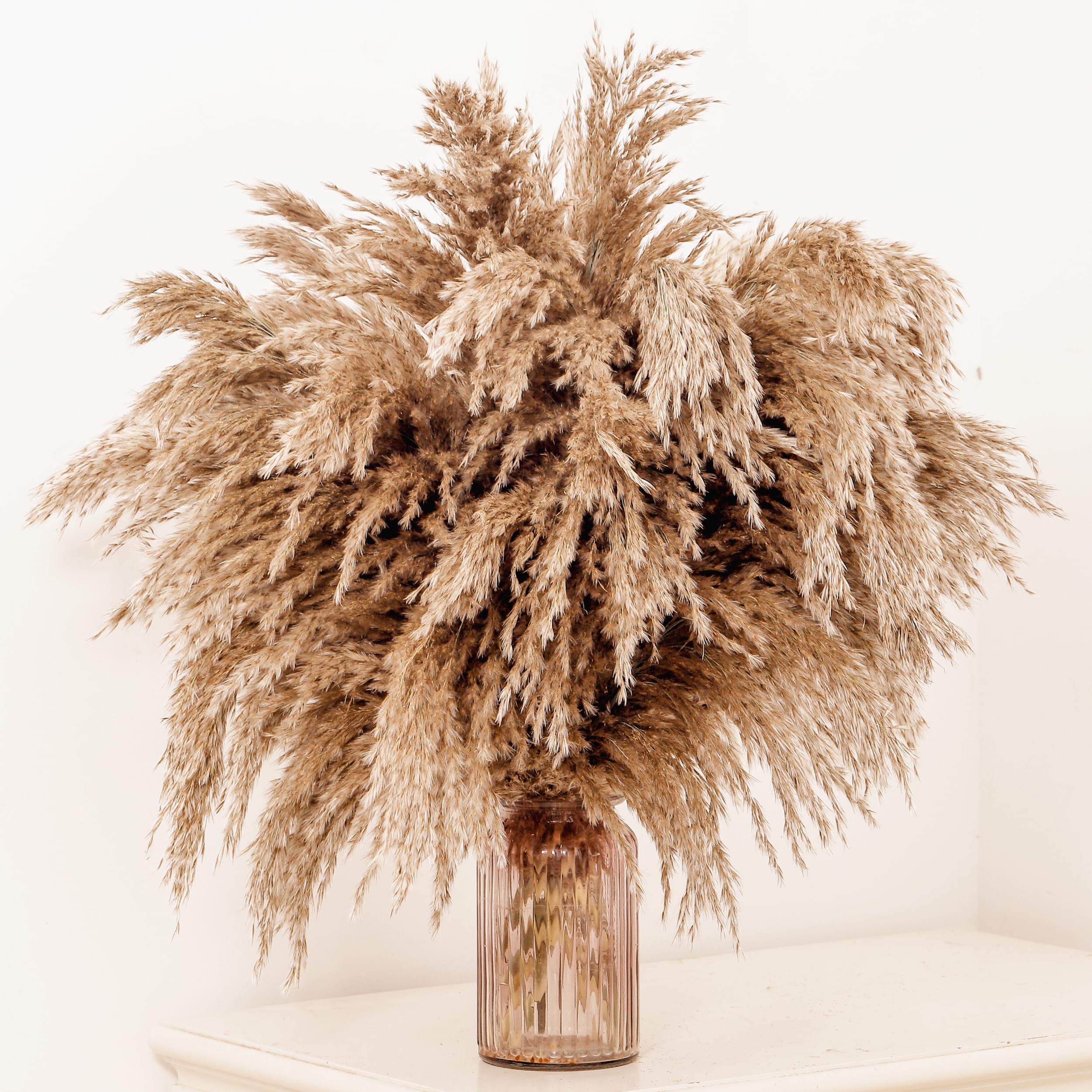 GOALS 20-Pcs Fluffy Pampas Grass 70cm Tall Brown Dry Boho Room Decor Natural Pampa Bouquet Wedding Fall Home Decoration (Brown, 70 cm Tall)