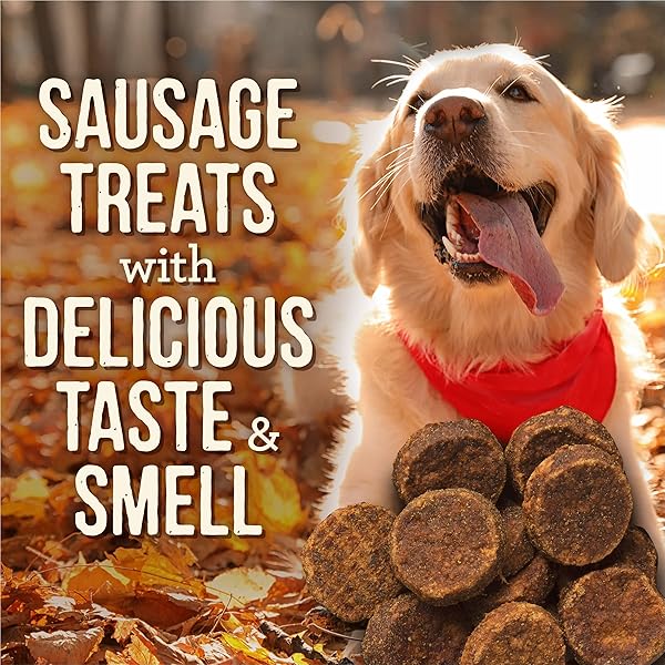 MERRICK CHEWY DOG TREATS, SLOW COOKED BBQ BEEF DOG TREAT CHEWS, CAROLINA STYLE GLAZED SAUSAGE BITES – 10 OZ. POUCH