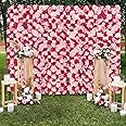 Floral Wall Backdrop Panels Fuchsia Pink 5ftx3.74ft Artificial Rose Fake Flower Wall Backdrop for Valentine's Day Wedding Bridal Shower Birthday Party Decor