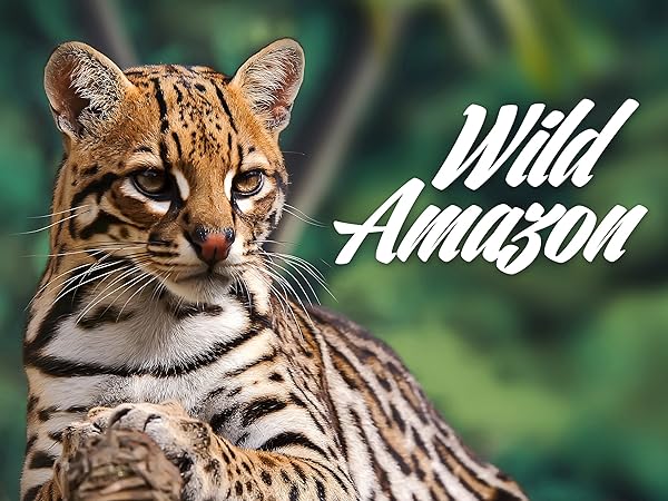 Watch Wild Amazon | Prime Video