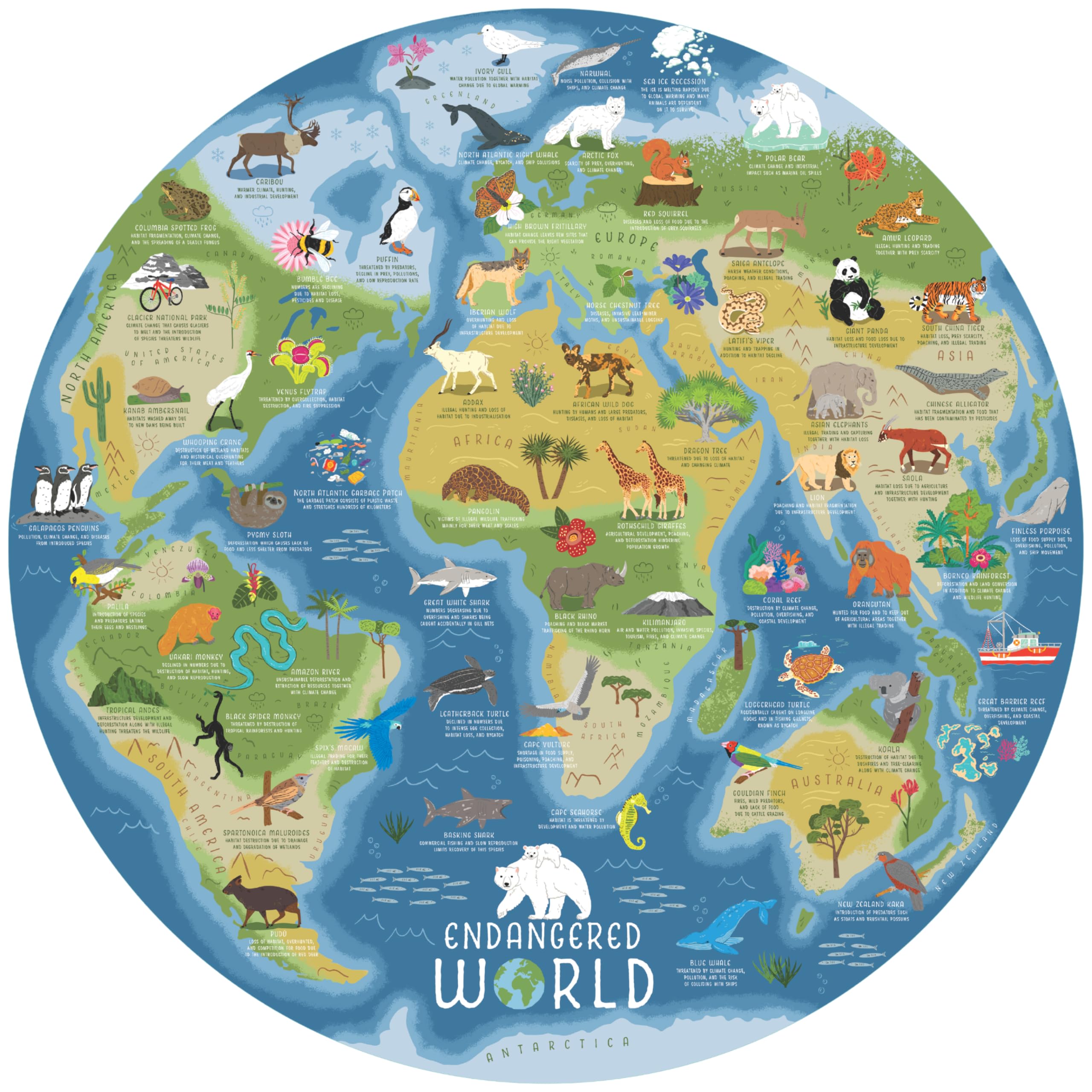 Ridley's JIG048 Endangered World Jigsaw Puzzle, Multicoloured